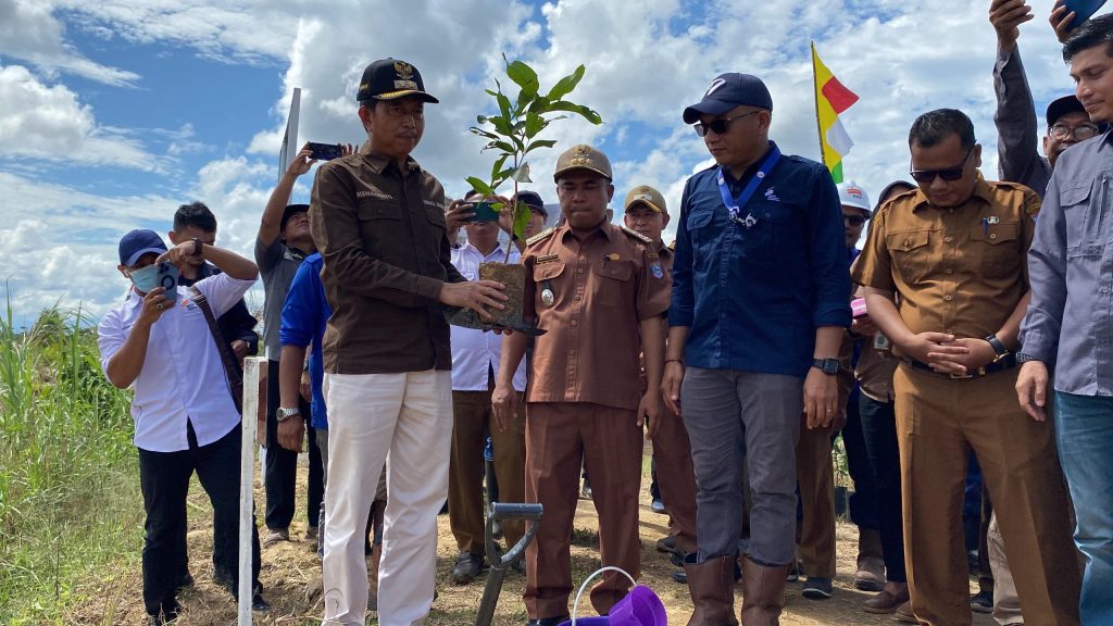 Wabup Risnawanto dan PT Bakrie Pasaman Plantations Menanam Pohon Bersama untuk Pelestarian Lingkungan dan Pemulihan Kerusakan SDA di DAS Batang Sikabau